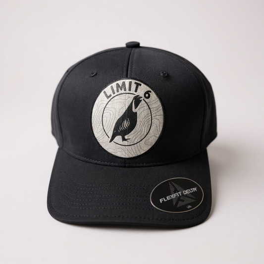 Topo patch Flexfit Delta